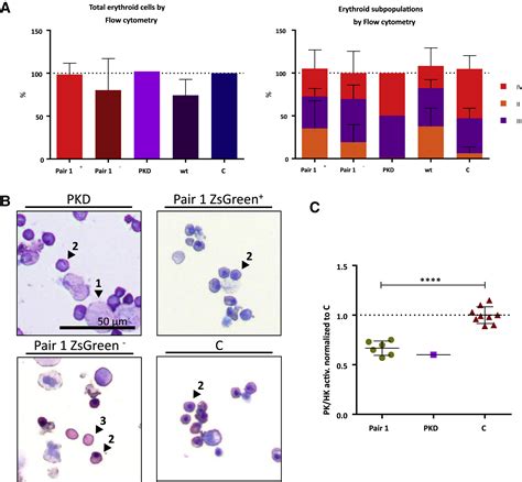 In Vitro And In Vivo Genetic Disease Modeling Via NHEJ Precise