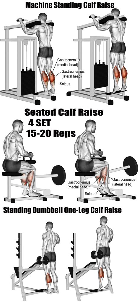 Calf Workout Gym Off 55