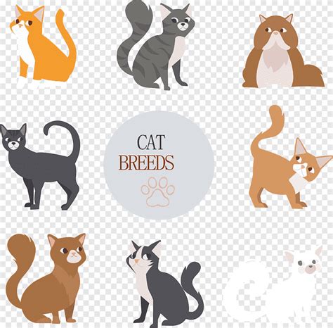 Cat Dog Drawing Cute Cat Design Material Mammal Cat Like Mammal Png