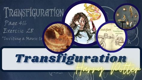 Transfiguration In Harry Potter Wizarding World Youtube