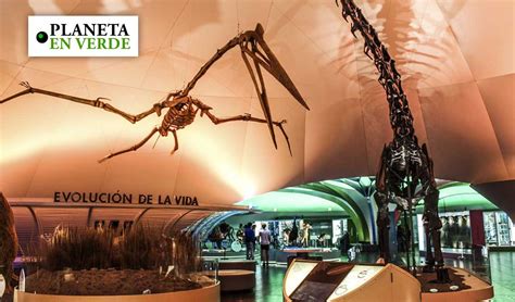 El Museo De Historia Natural En Cdmx Inaugura Salas Sobre Cultura Ambiental Planeta En Verde