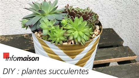 Diy Plantes Succulentes En Pots Youtube