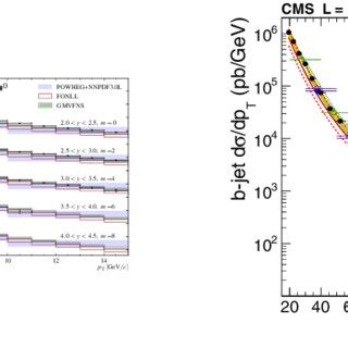 Left Transverse Momentum Differential Production Cross Section Of D 0