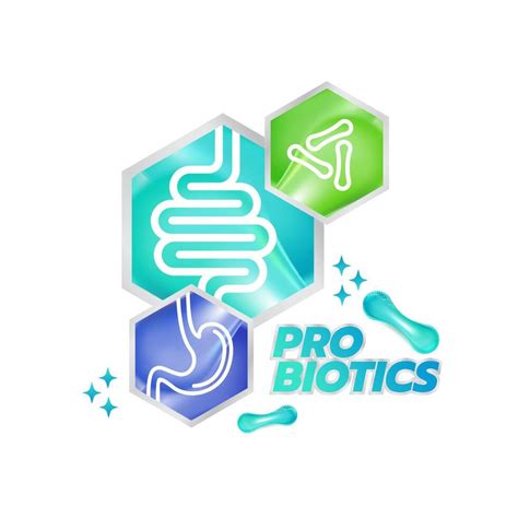 Probiotic Foods Good Bacteria Vector Illustration 39656390 Vector Art