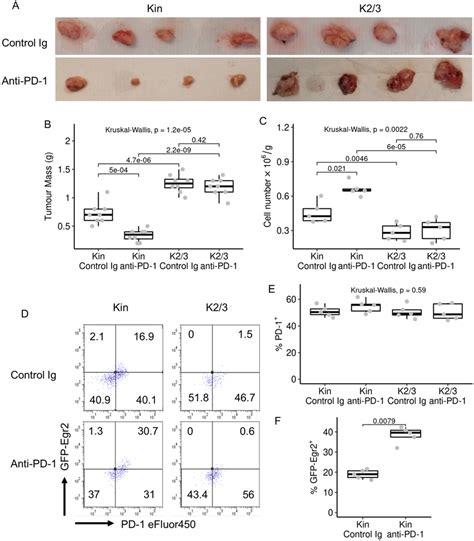 Anti Pd Efficacy Is Reduced In K Mice Mc Tumours Were