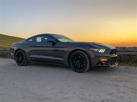 Mustang Gt Magnetic S Mustang Forum Gt Ecoboost