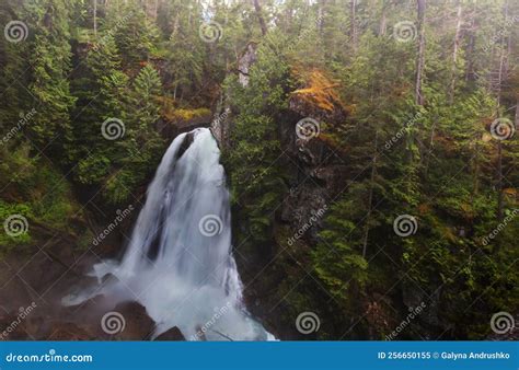 Waterfall in Canada stock image. Image of cascade, canada - 256650155