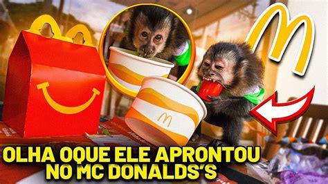 LEVEI MEU MACACO ERON NO MC DONALD S E TODOS FICARAM IMPRESSIONADOS