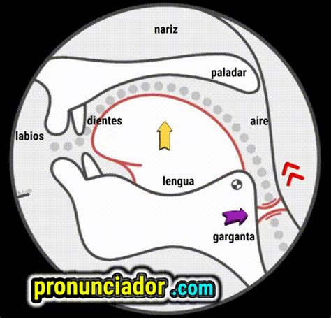 ¿cómo Pronunciar En Ingles Z Y Cuándo Utilizarlo