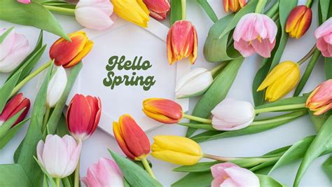 Free Customizable Spring Facebook Cover Templates Canva