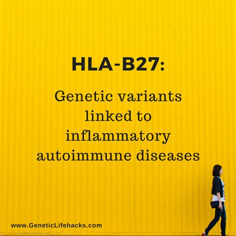 HLA B27 Genetic Variants That Increase Susceptibility To Autoimmune