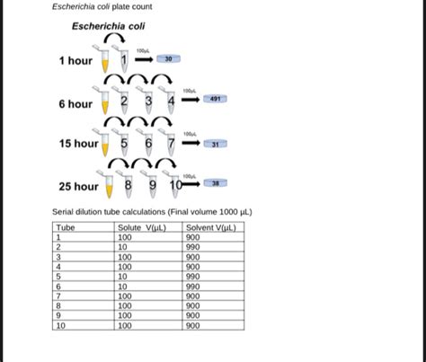 Lactobacillus acidophilus plate count Lactobacillus | Chegg.com