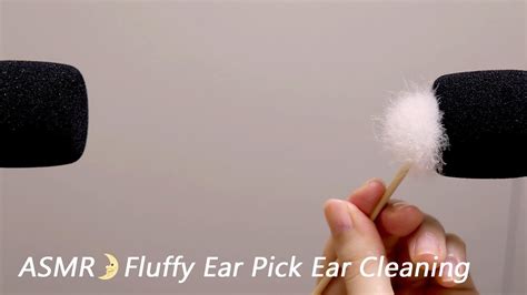 [asmr] Fluffy Ear Pick Ear Cleaning 1h No Talking Youtube