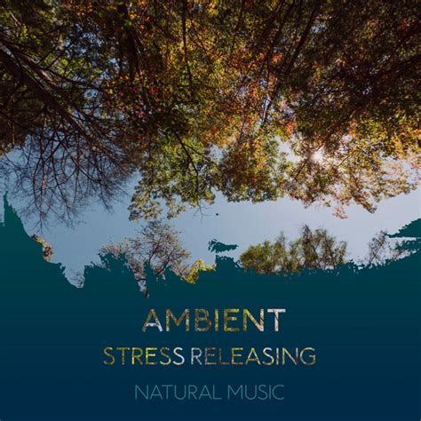 Zzz Ambient Stress Releasing Natural Music Zzz Album By Sleep Sounds