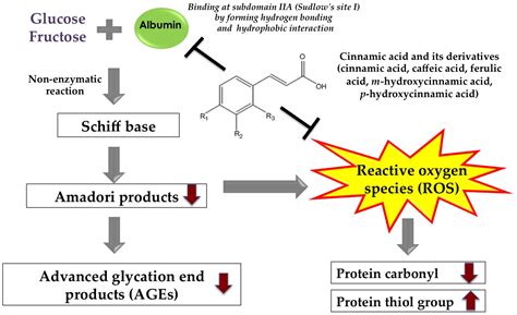 Nutrients Free Full Text Cinnamic Acid And Its Derivatives