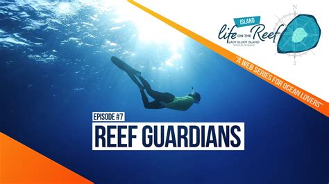 Lady Elliot Island EP 7 LIFE ON THE REEF Reef Guardians Ocean