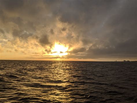 Residents found unique obituaries biloxi ms stories this week 5