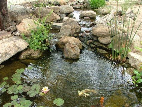 Monty Don Shows How To Create A Wildlife Pond For Your Garden Or Patio