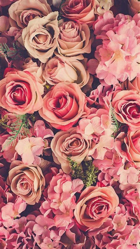 An Arrangement Of Pink And Red Flowers