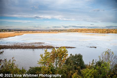 Patuxent River Park – Irina Whitmer Photography