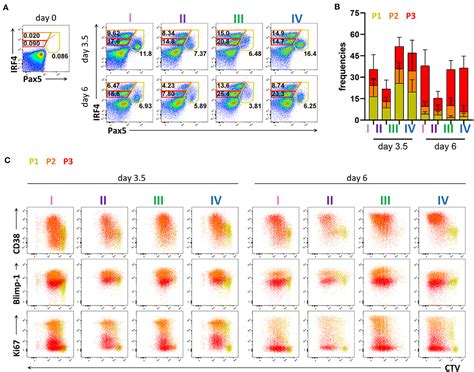 Frontiers Flow Cytometry Based Protocols For The Analysis Of Human