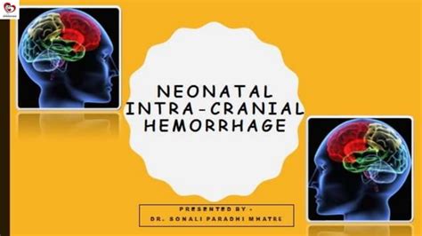 Neonatal Cranial Bleed With Intraventricular Hemorrhage Ppt