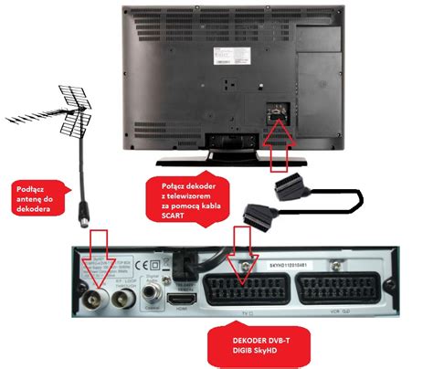 Podłączenie dekodera DVB T do telewizora jest bardzo proste Galeria