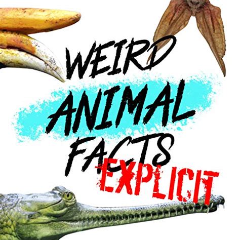 Weird Animal Facts: Explicit | Podcasts on Audible | Audible.com