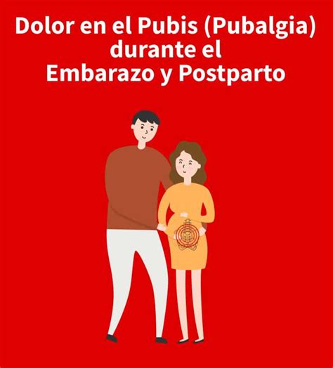 ¿cuáles Son Los Síntomas Del Dolor Pélvico Postparto Mibbmemima ️