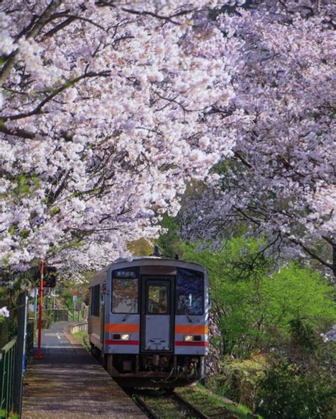 KYOTO MOYOU TABI MOYOU 京都もよう日本旅もよ Japan train Japan travel