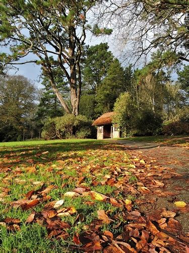 Trelissick Garden | near Truro | best time to visit - Great British Gardens