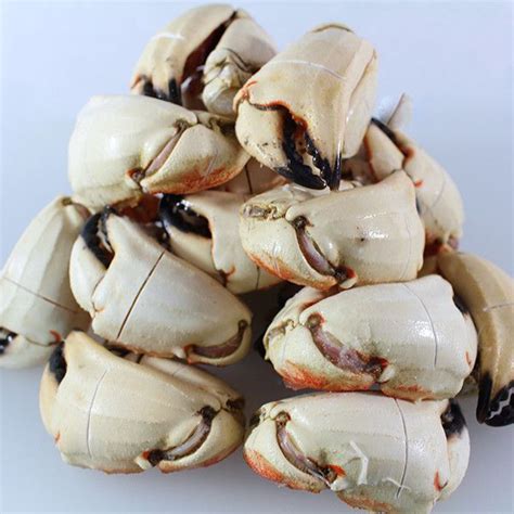 Jonah Stone Crab Claws 5 Lbs Stone Crab Stone Crab Claws Crab Claws