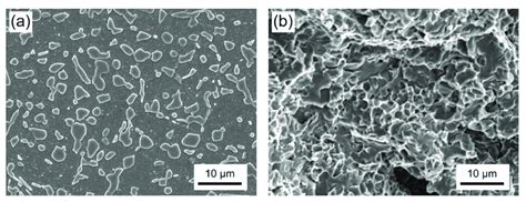 Sem Images Showing The Microstructure A And The Fracture Surface