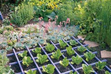 Eat Your Yard How To Design An Edible Landscape Mother Earth Living