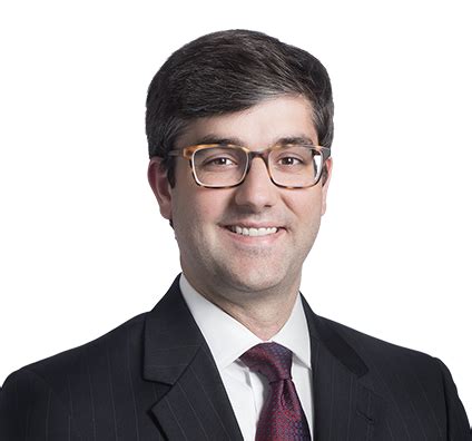 Michael Raupp Appellate And Litigation Attorney With Experience In