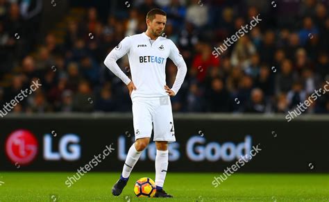 Gylfi Sigurdsson Swansea City Shows Look Editorial Stock Photo Stock