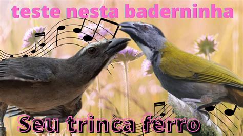 Se Tem Trinca Ferro Que Canta O Seu Tamb M Pode Cantar Fasa J O Teste