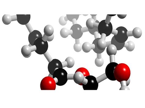 Introduction To Organic Chemistry Chemistry Quizizz