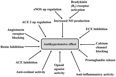 IJMS Free Full Text Molecular Targets Of Antihypertensive Peptides