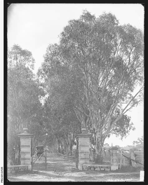tusmore park photograph state library  south australia