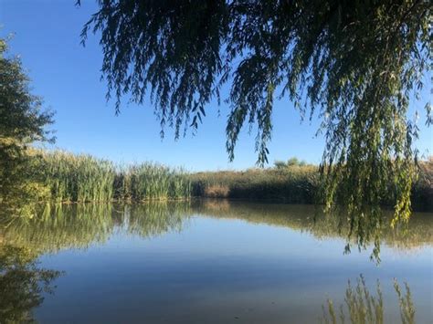 Clark County Wetlands Park Las Vegas 2019 All You Need To Know