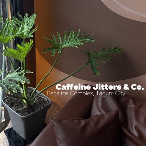 Caffeine Jitters & Co. | Tagum City