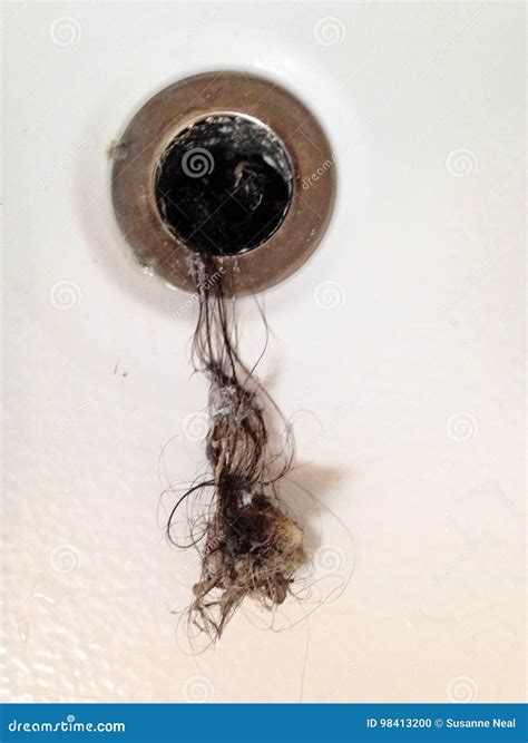 Filthy Hair Clog from Bathtub Drain Stock Photo - Image of call, caught ...