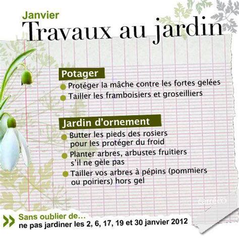 Travaux De Janvier Au Jardin Paperblog