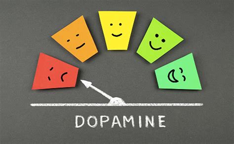 Dopamine Boosting Foods | Know All About Dopamine Boosting Foods at ...