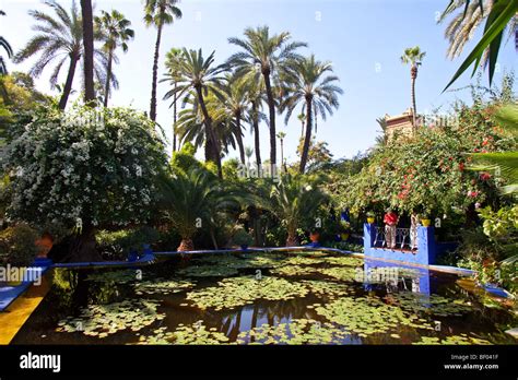 Touristen Besuchen Majorelle Garten Im Besitz Von Yves Saint Laurent In