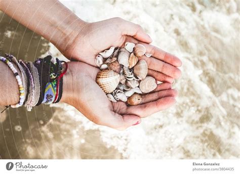 Hände mit Muscheln im Meer ein lizenzfreies Stock Foto von Photocase