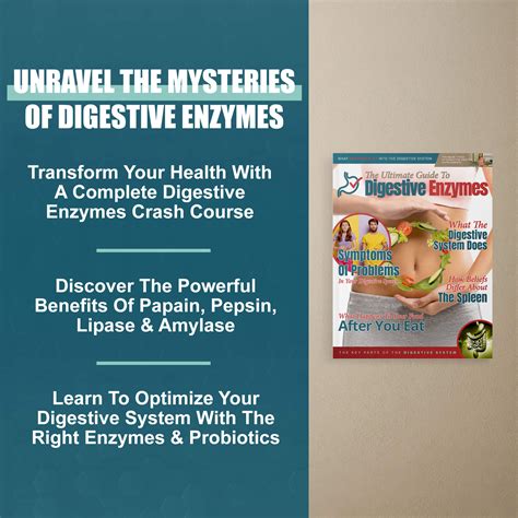 The Ultimate Guide To Digestive Enzymes Ultimate Health Guides