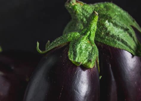 Eggplant Color Varieties