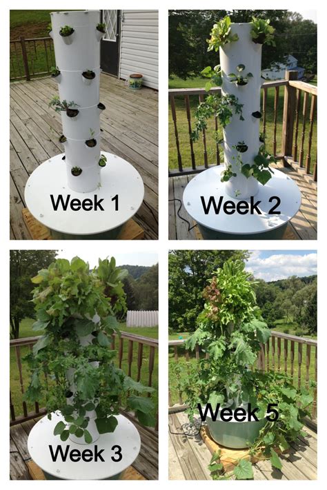 Amazing Courtneynalin Towergarden Tower Garden Tower Garden Diy